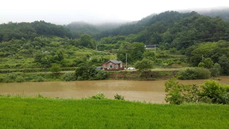 믿음소망사랑희망 그리고 가족 (커뮤니티 - 자유게시판)