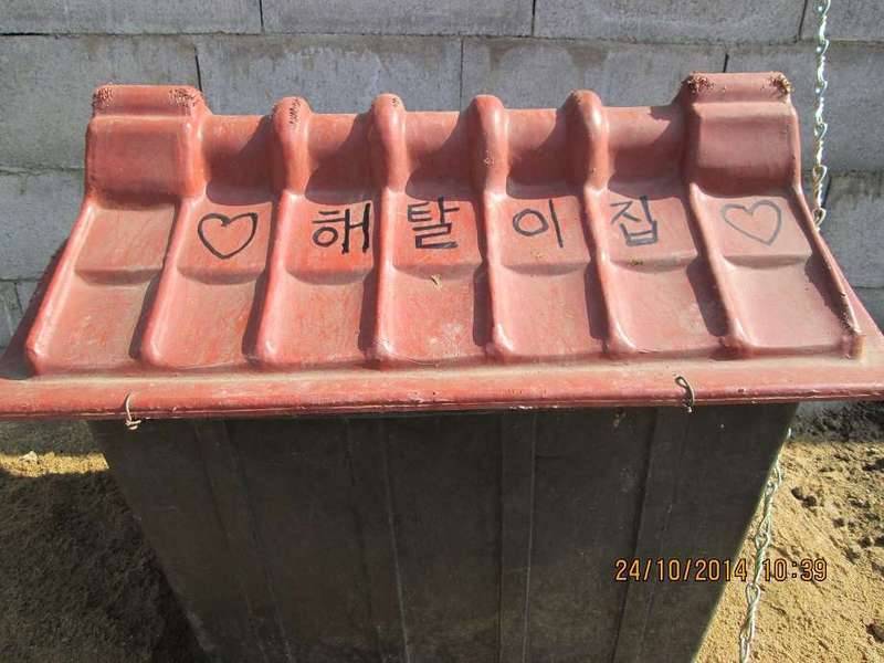하늘님께 분양 받은 해탈이와의 동거 1편 (커뮤니티 - 자유게시판)