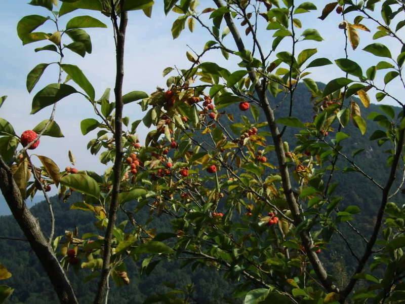 여자한테 참좋은데 (커뮤니티 - 자유게시판)