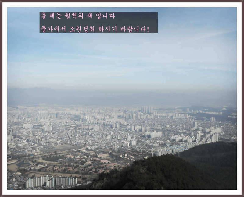 혼자 사는 방법과 참된 칭구 (커뮤니티 - 자유게시판)