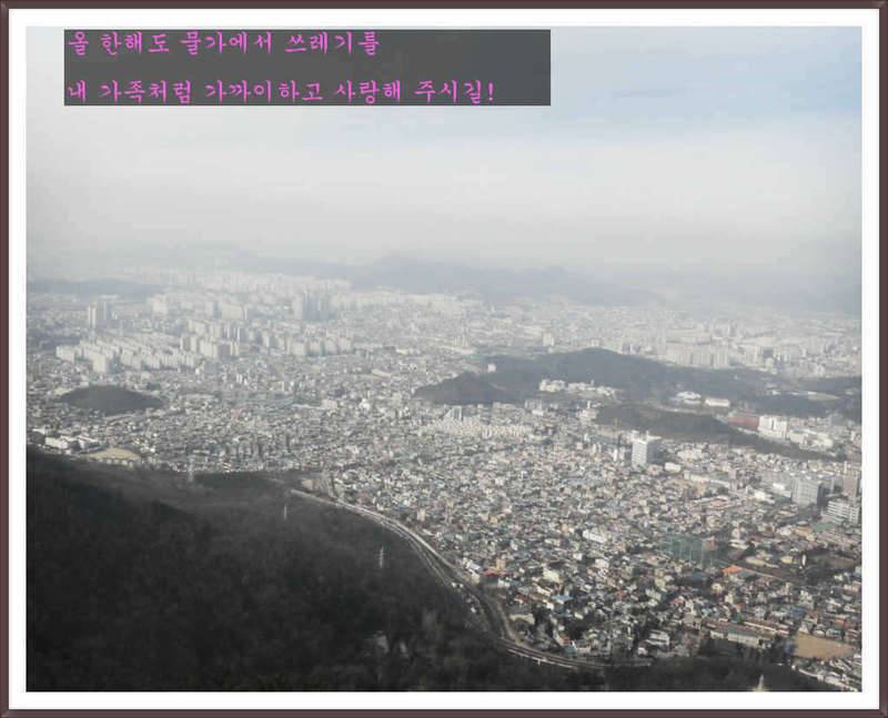혼자 사는 방법과 참된 칭구 (커뮤니티 - 자유게시판)