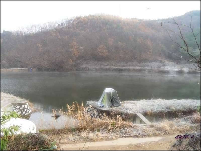 계절이 바뀌는것이 보입니다 (커뮤니티 - 자유게시판)