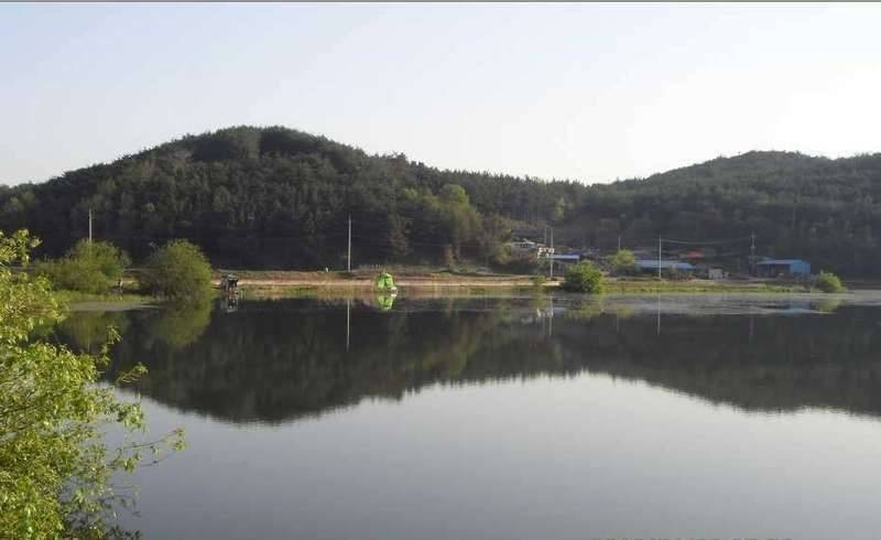 자계방 (커뮤니티 - 자유게시판)