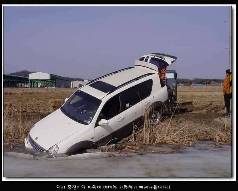 잊지못할 추억 거리 만들고 왔습니다ㅋ (커뮤니티 - 자유게시판)