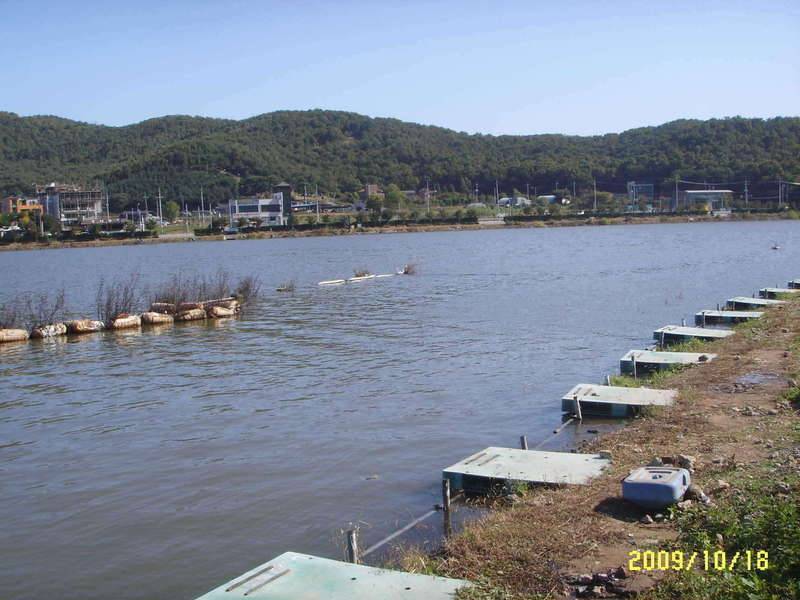 아들과 함께 출조 (커뮤니티 - 자유게시판)