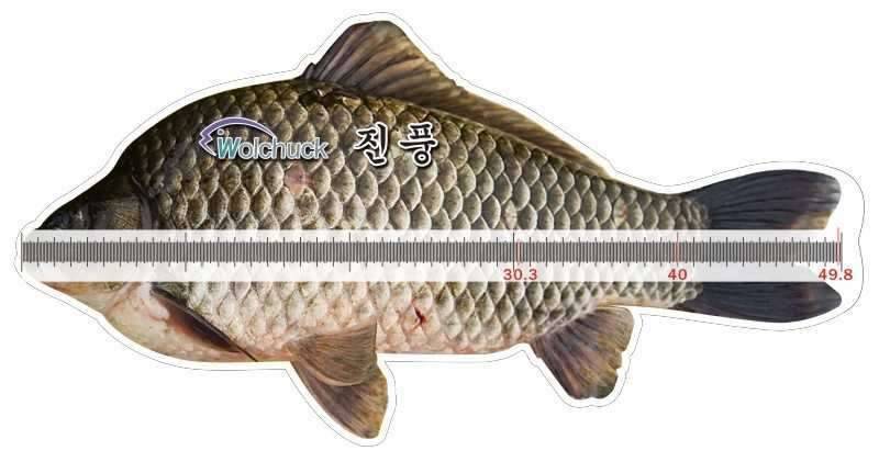 붕어 사진 좋은거 있으시면 좀 보내주세요 (커뮤니티 - 자유게시판)