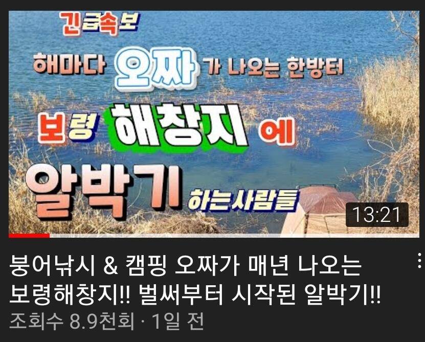 보령 해창지 알박기 좌대 유튜브에 신고되었네요 (커뮤니티 - 자유게시판)
