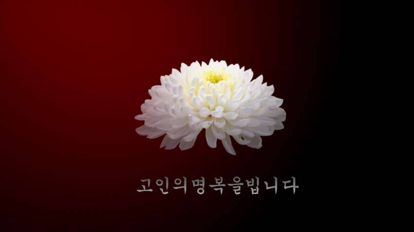 부고에 대해 (커뮤니티 - 자유게시판)