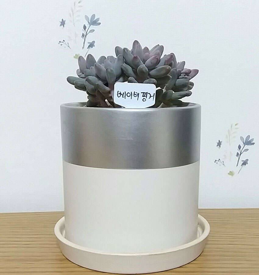 설 노동과 설 선물 (커뮤니티 - 자유게시판)