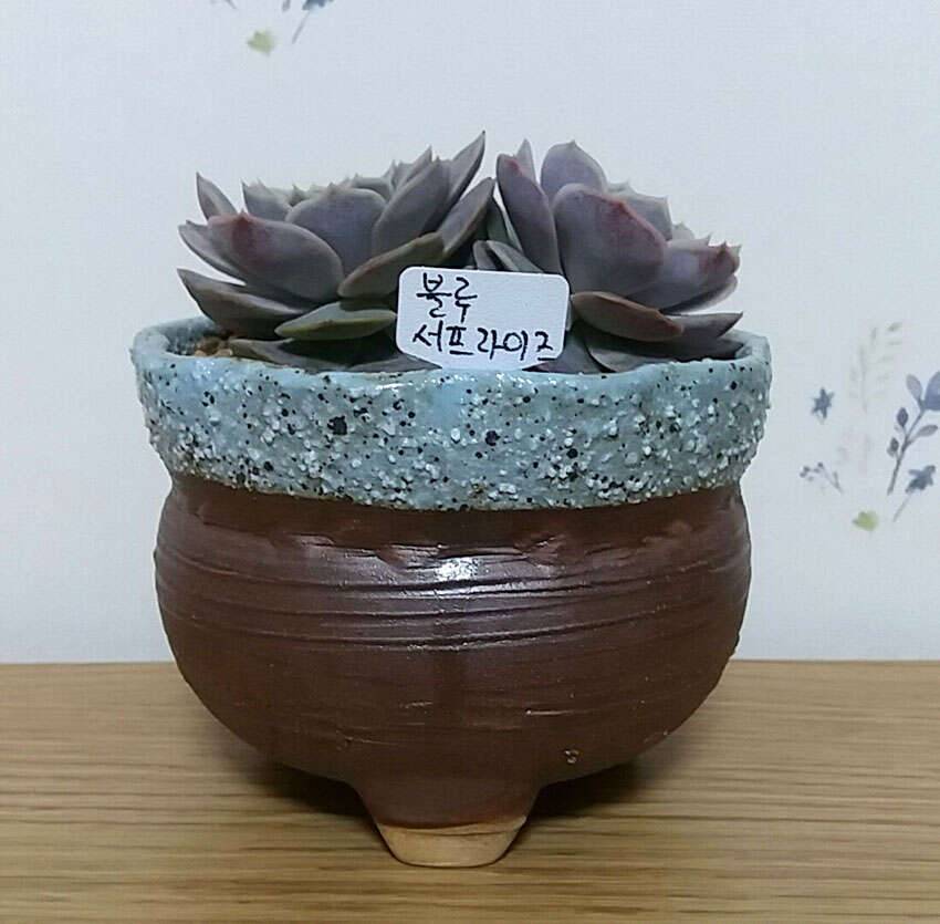 설 노동과 설 선물 (커뮤니티 - 자유게시판)