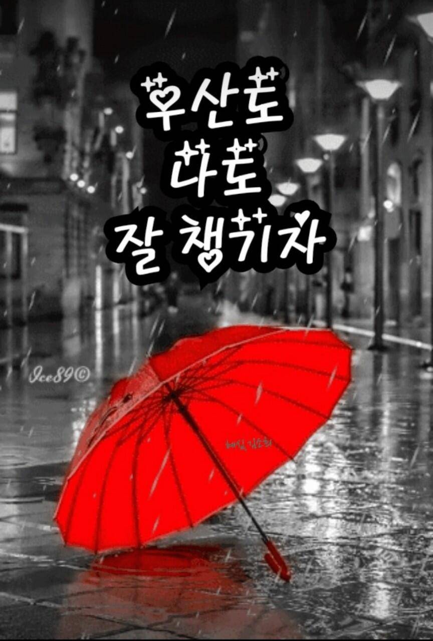 이런 투자 어떠세요 (커뮤니티 - 자유게시판)