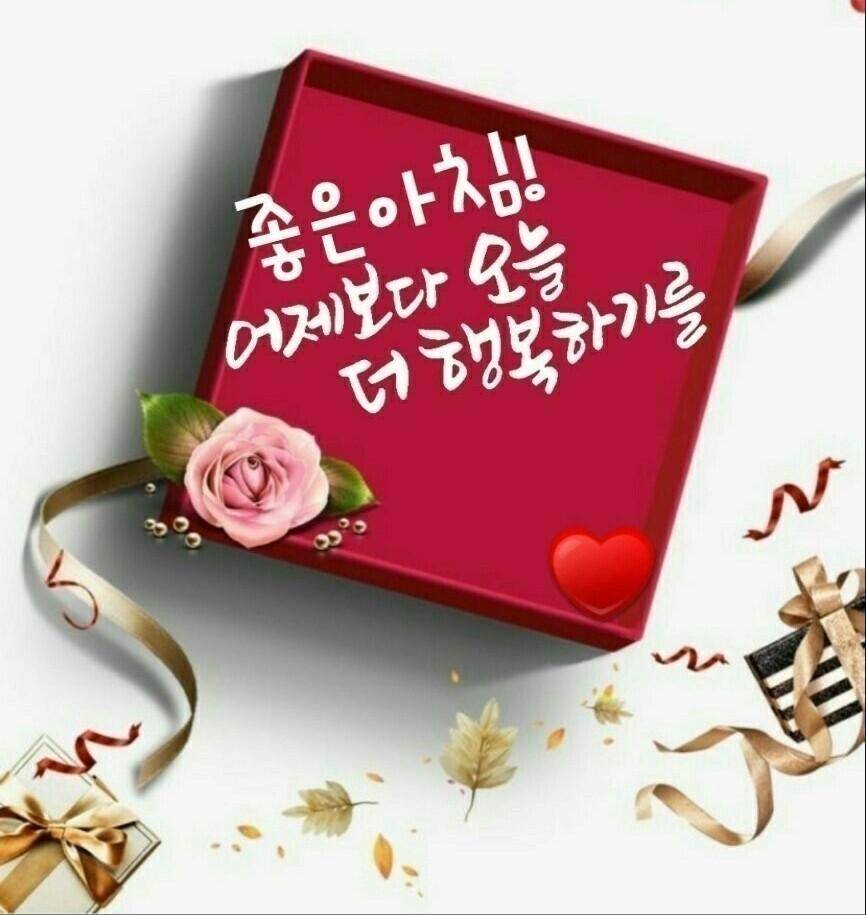 손톱깍이님 (커뮤니티 - 자유게시판)