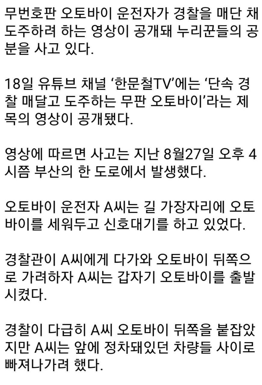 짤 모음 (커뮤니티 - 자유게시판)