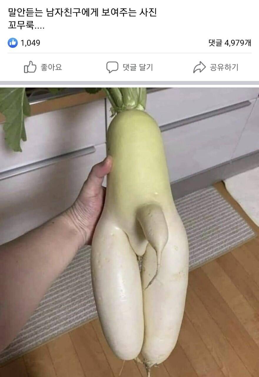 월요일 짤 (커뮤니티 - 자유게시판)