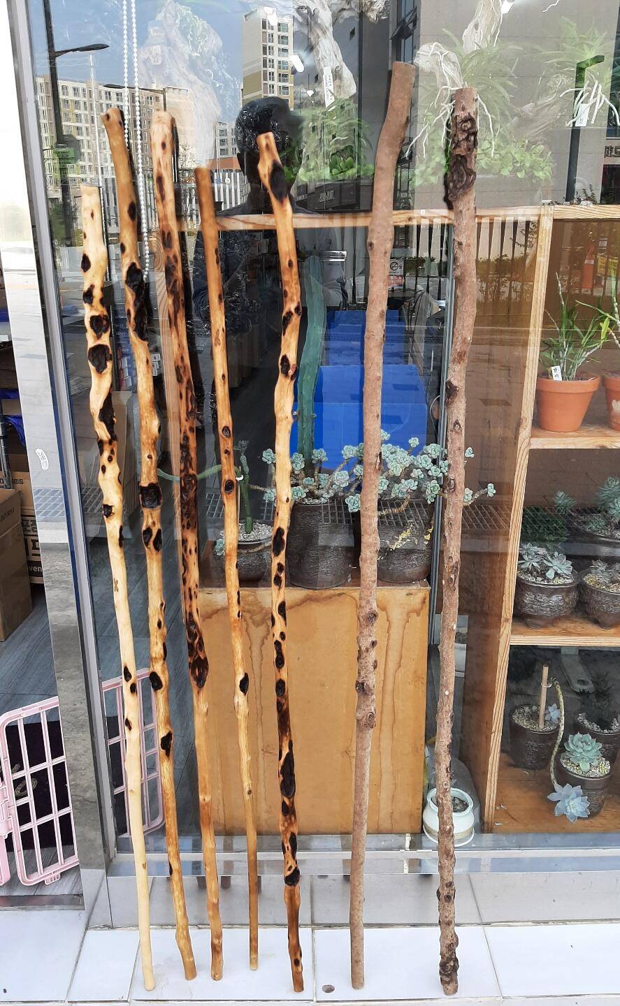 벗기고 문지르고 물 바르고 (커뮤니티 - 자유게시판)