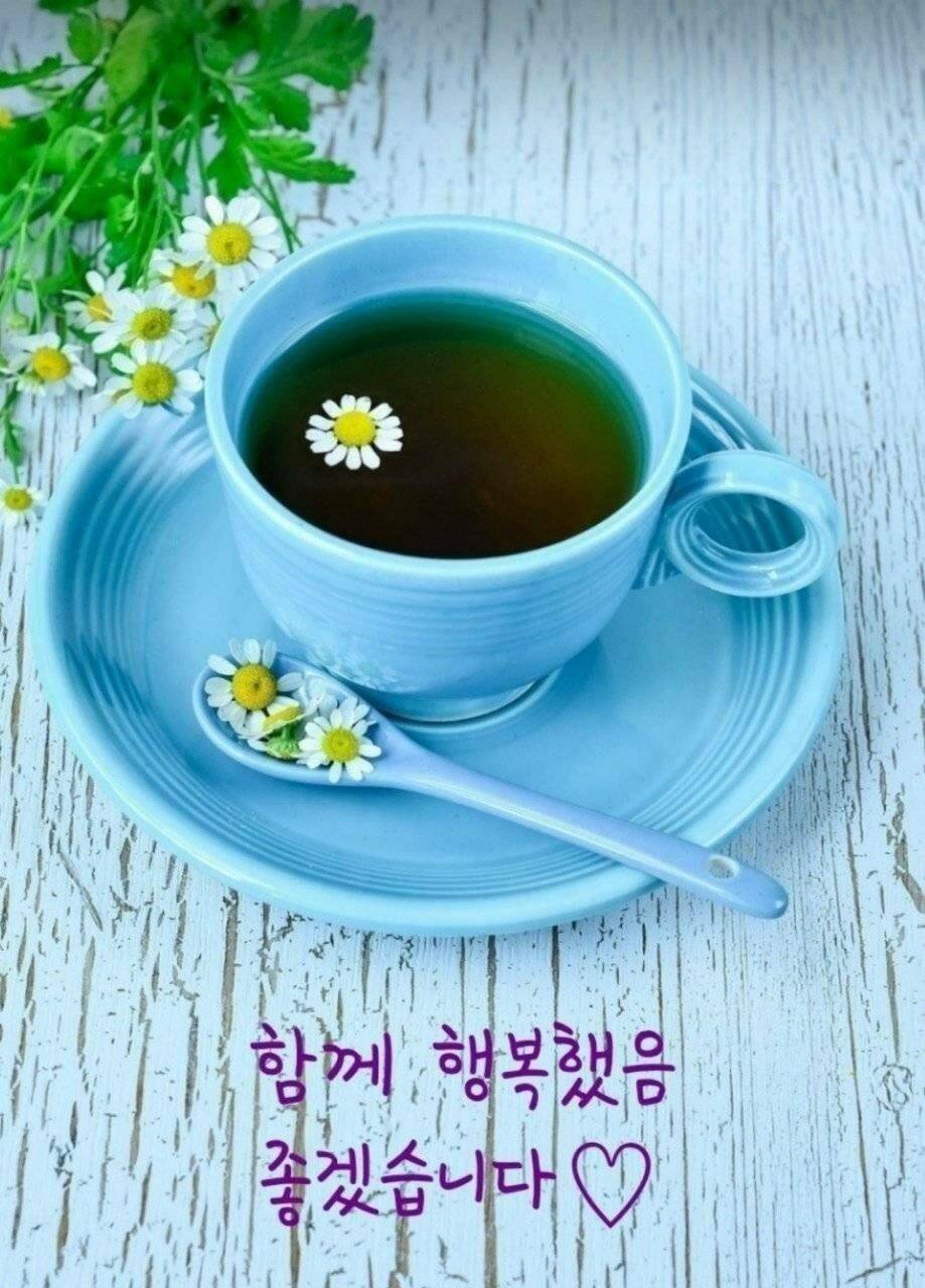 출석부 (커뮤니티 - 자유게시판)