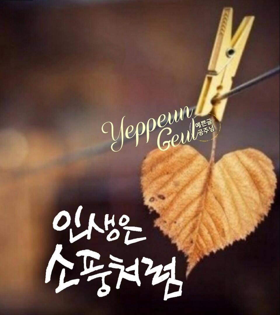 출석부 (커뮤니티 - 자유게시판)