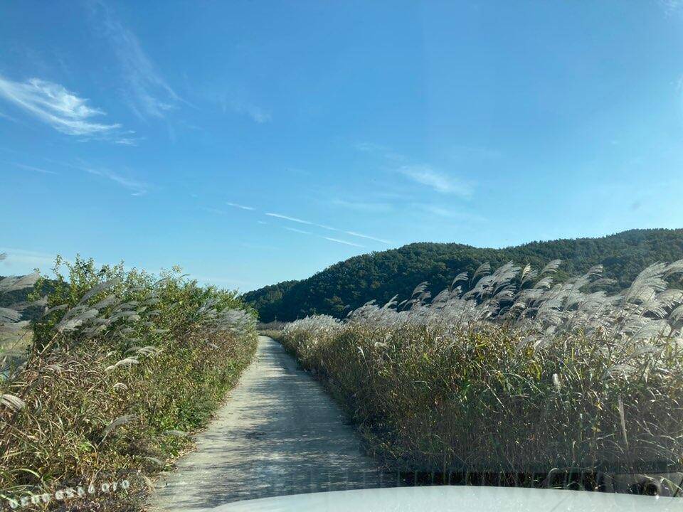 테러 동참 그후 (커뮤니티 - 자유게시판)