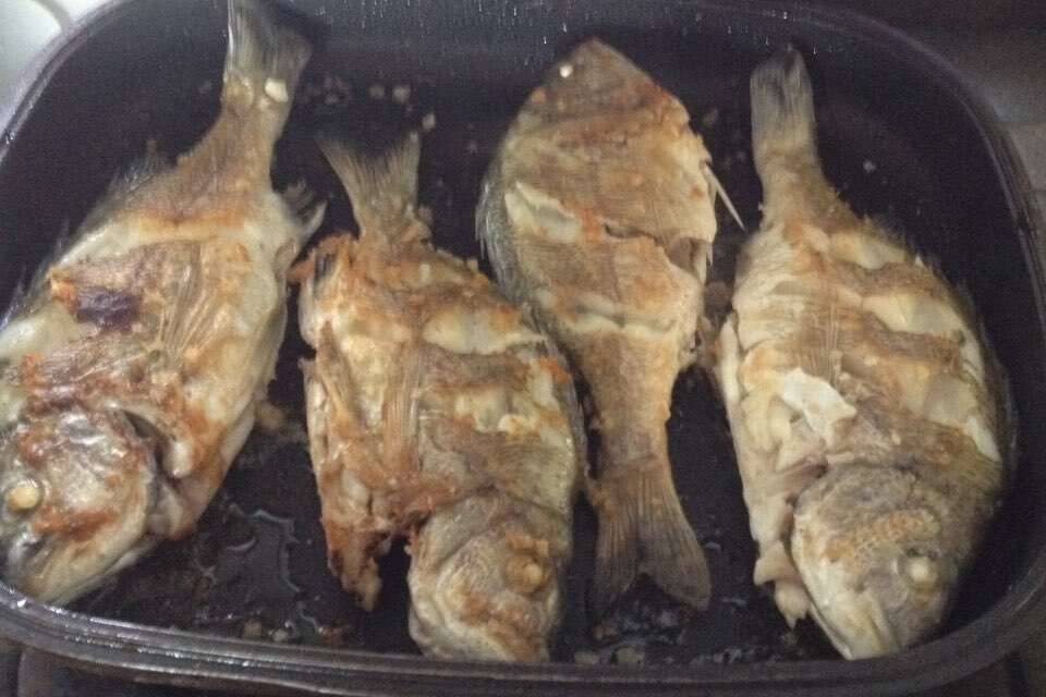 민물과 바다를 넘나드는 휴가3일차 (커뮤니티 - 자유게시판)