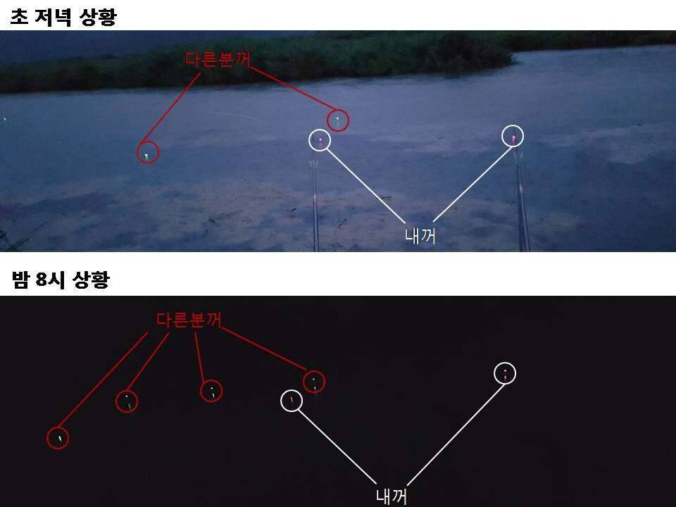 20년 낚시에 처음 격어본 상황 대략 난감 (커뮤니티 - 자유게시판)