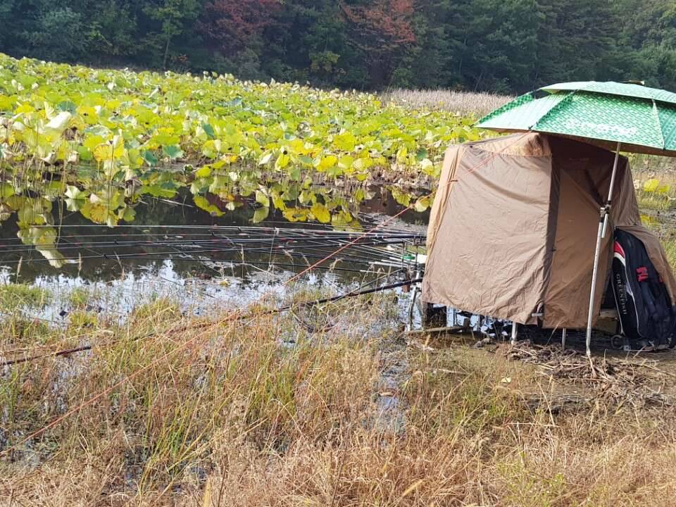 역전의용사 납회이벤트 (커뮤니티 - 자유게시판)
