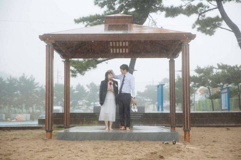 웨딩촬영했습니다 (커뮤니티 - 자유게시판)