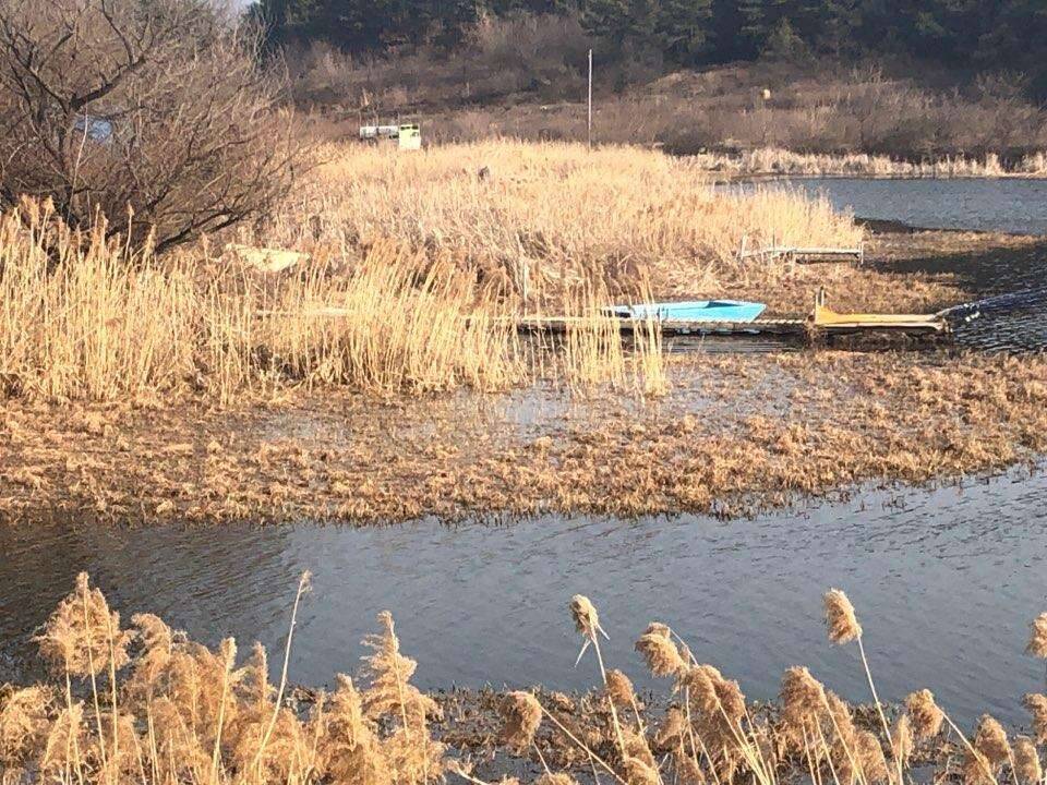 세월이 참 (커뮤니티 - 자유게시판)
