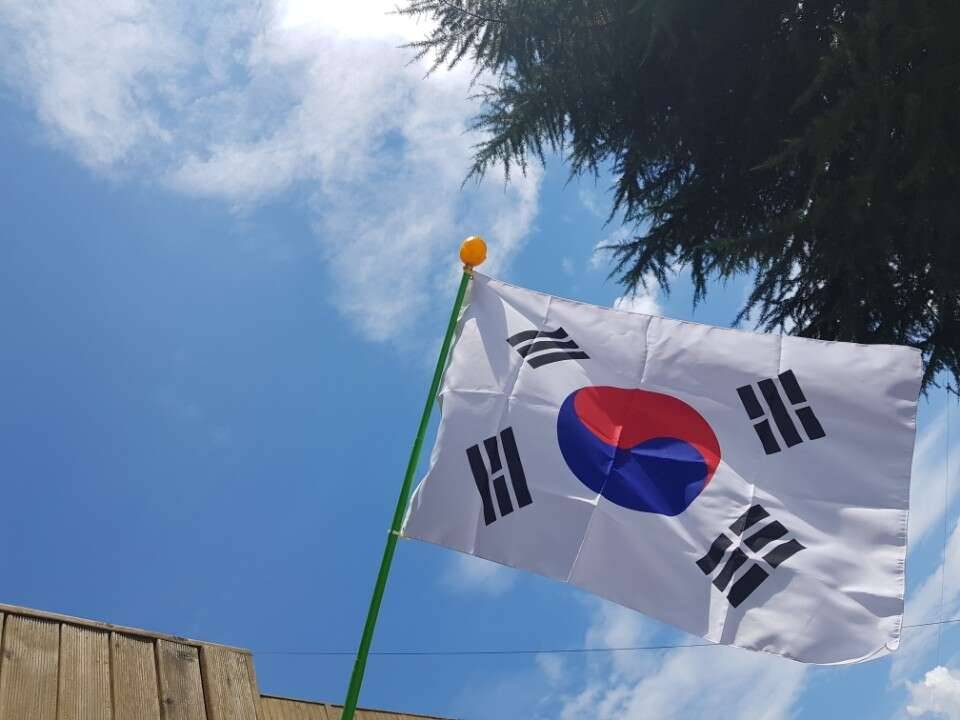 태극기가 바람에 (커뮤니티 - 자유게시판)