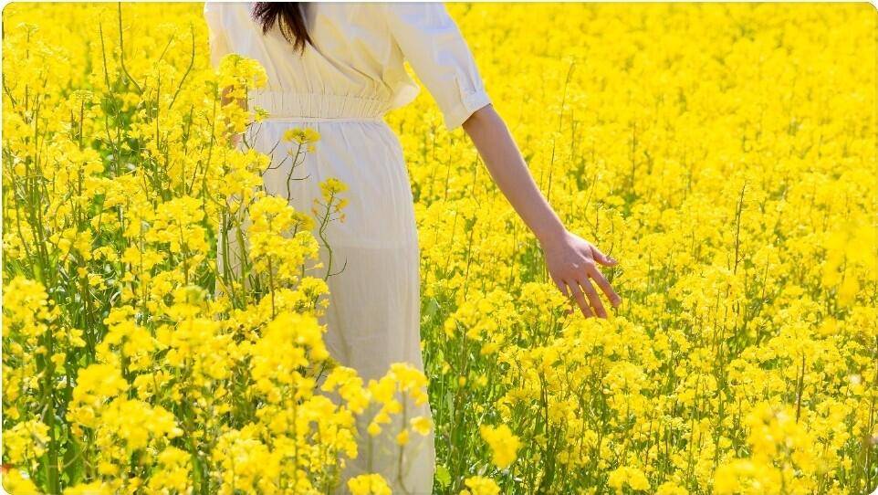 출석부 (커뮤니티 - 자유게시판)