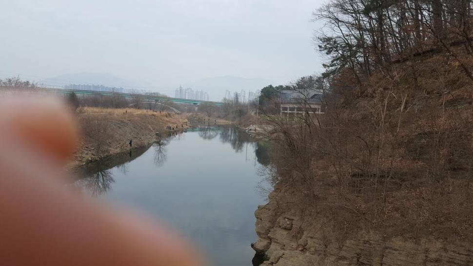 대구 달성습지 (커뮤니티 - 자유게시판)