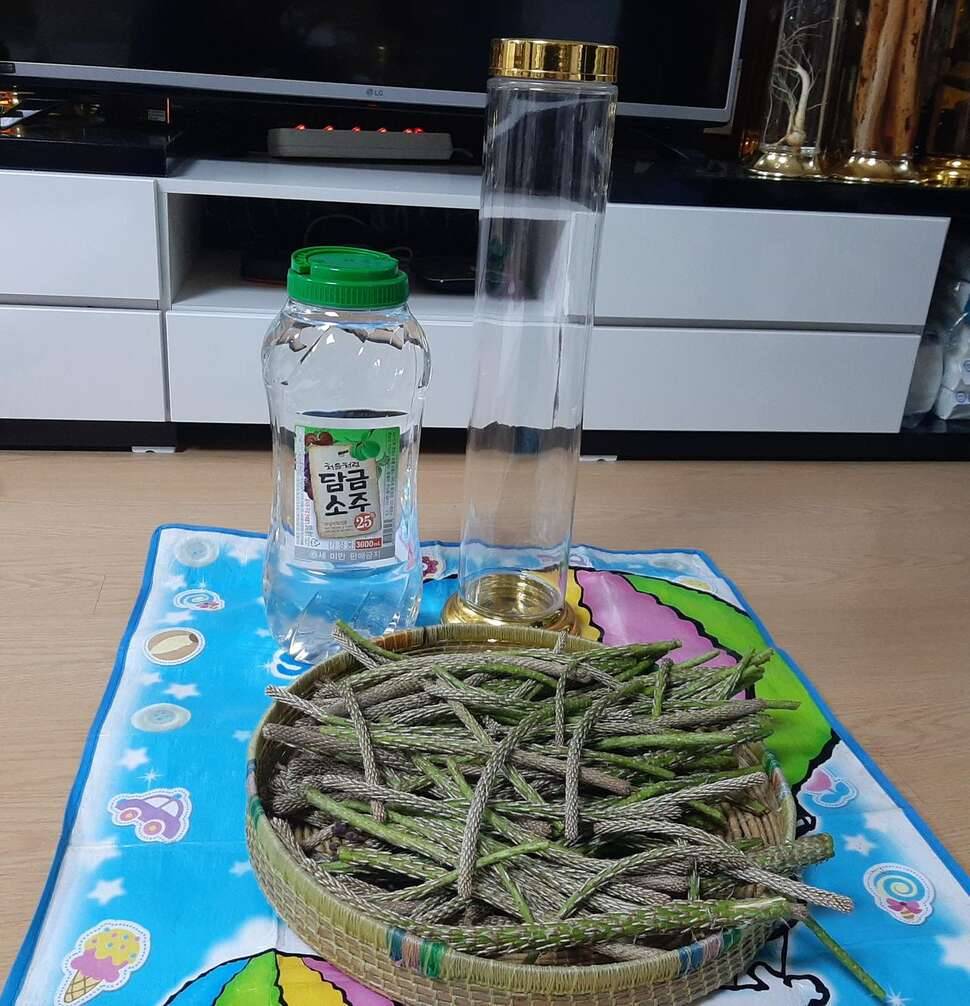 순진한놈 아니 순한놈 (커뮤니티 - 자유게시판)