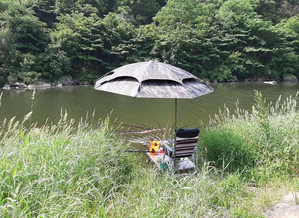 소풍 왔습니다 (커뮤니티 - 자유게시판)
