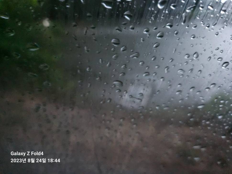 닭잡아묵고 오리발이 연락불통 (커뮤니티 - 자유게시판)