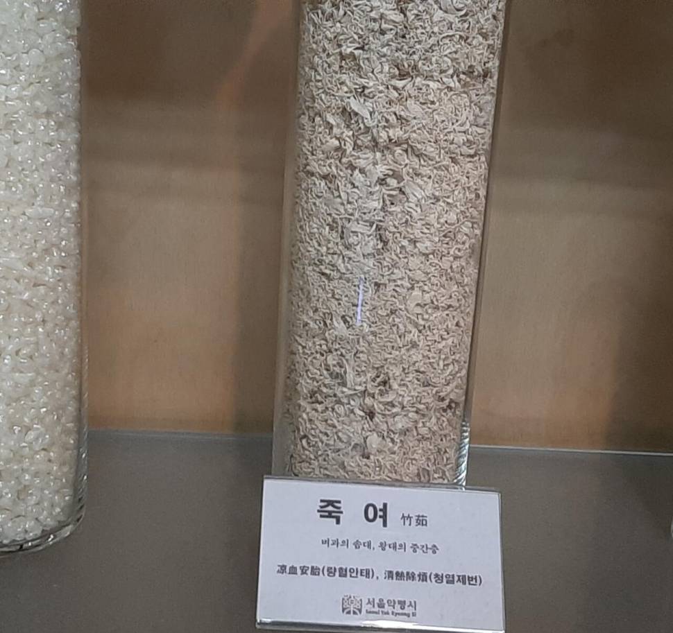 이런 여유로움 이라니 (커뮤니티 - 자유게시판)