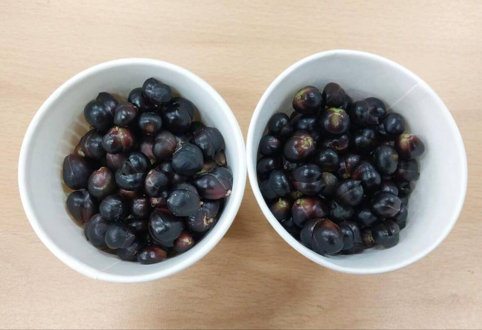 꽃이 있는 아침 시가 있는 아침 (커뮤니티 - 자유게시판)