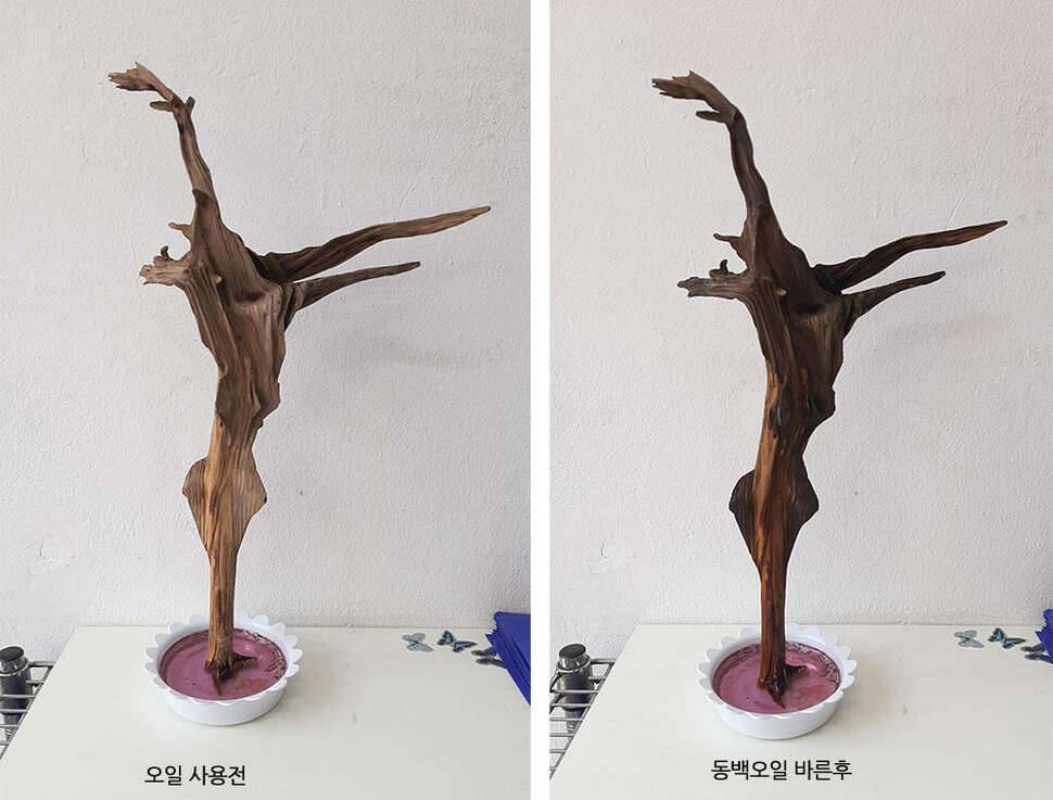 어떤가요 의견 청취중 (커뮤니티 - 자유게시판)