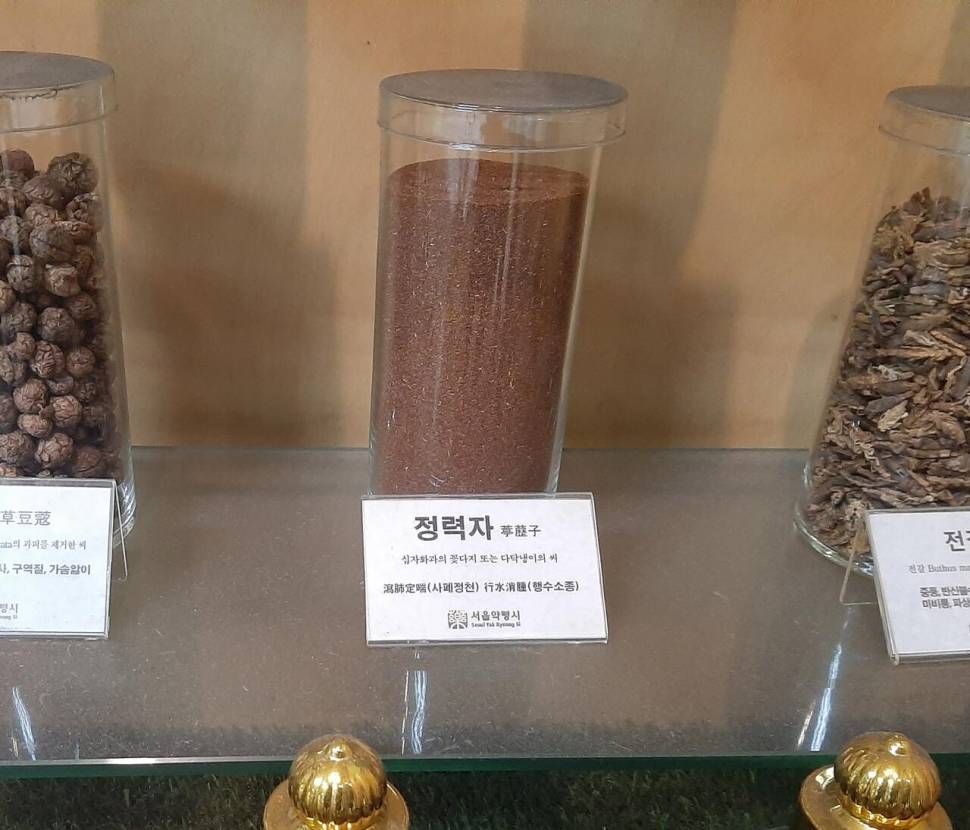 이런 여유로움 이라니 (커뮤니티 - 자유게시판)