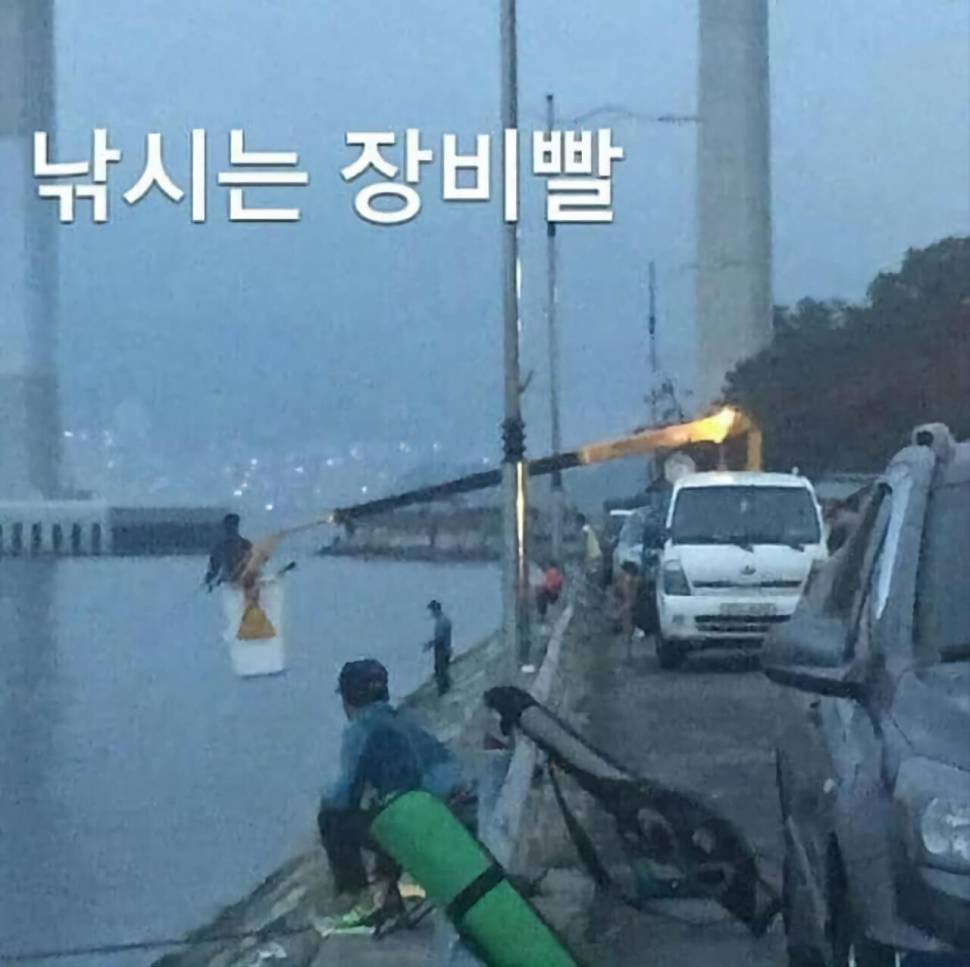 잡다한 짤 입니다 가볍게 보세요 (커뮤니티 - 자유게시판)