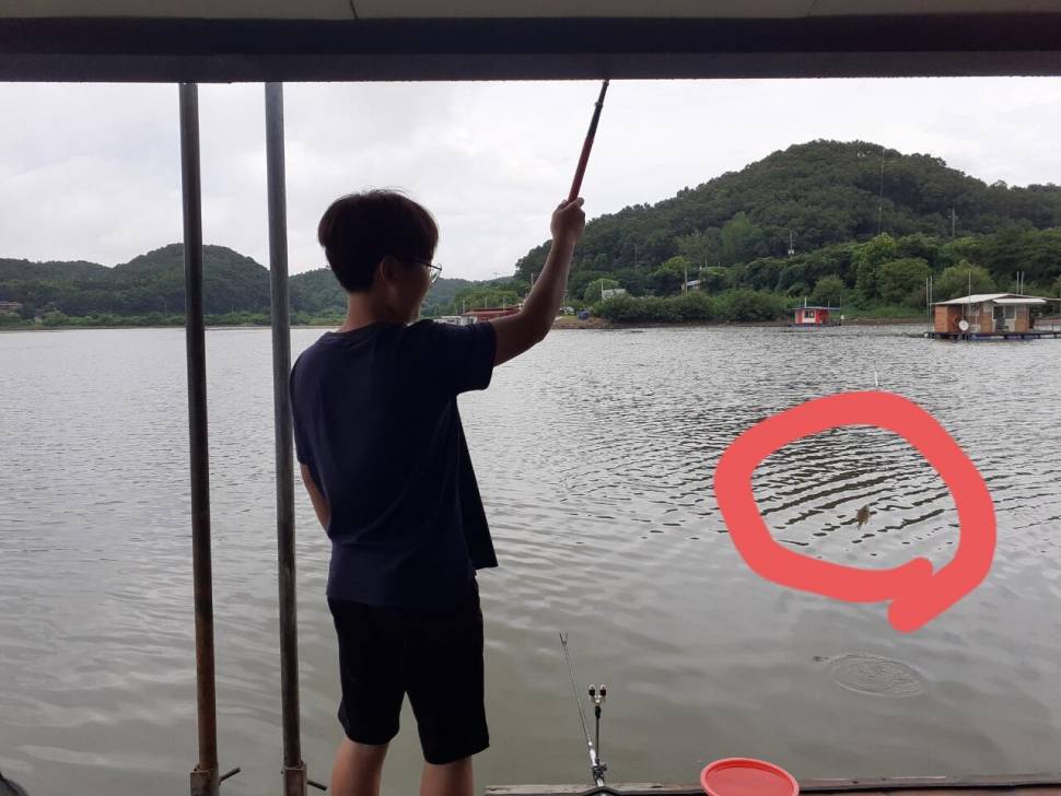 휴가 잘 보내고 있습니다 (커뮤니티 - 자유게시판)