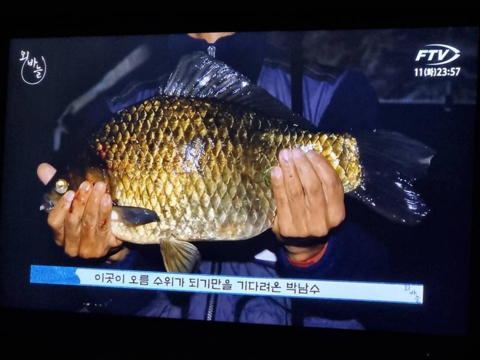 외바늘님역시 (커뮤니티 - 자유게시판)