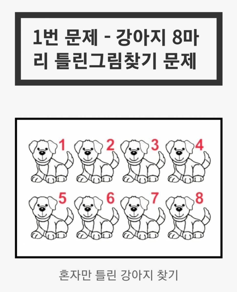 첫경험 짤모음 (커뮤니티 - 자유게시판)
