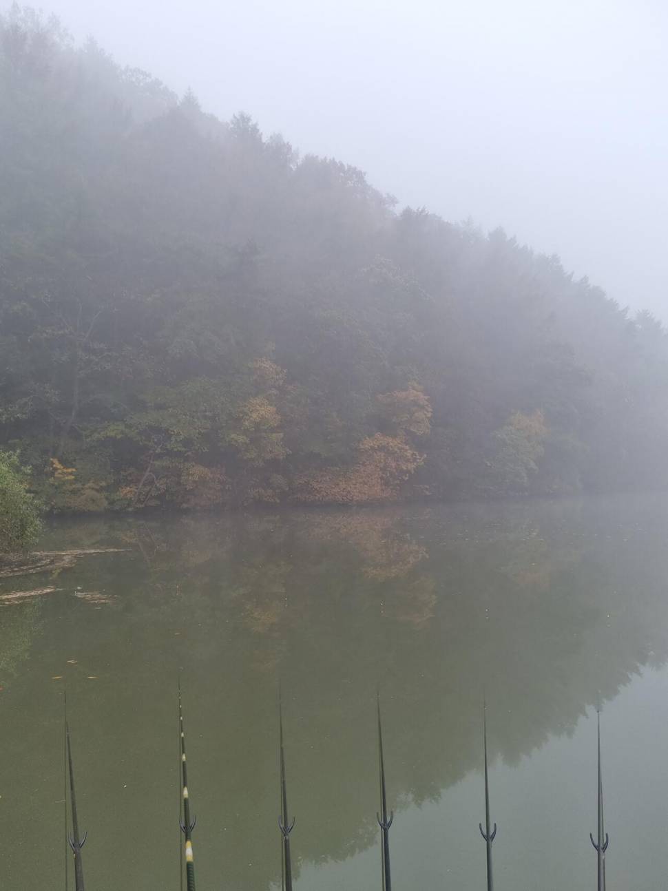 오늘도 꽝 삘 (커뮤니티 - 자유게시판)