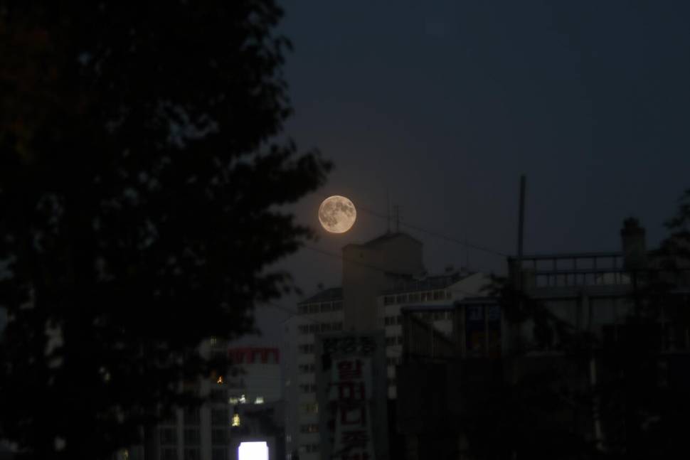 요즈음 동네 한바퀴 (커뮤니티 - 자유게시판)