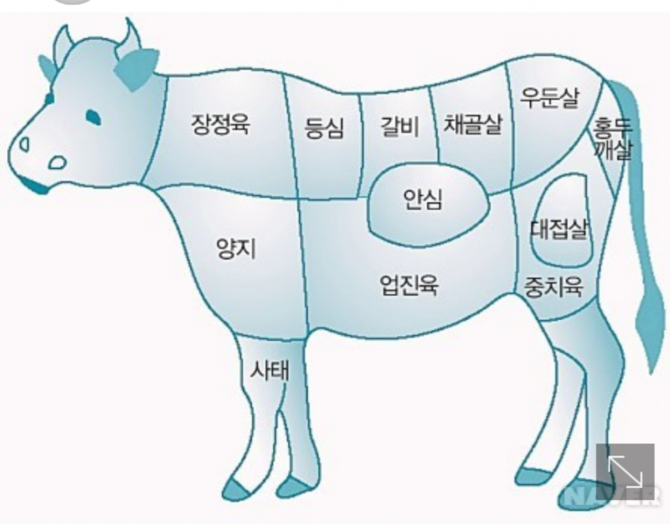 13d06acc-6fde-4815-be0e-b6f74317a581.png