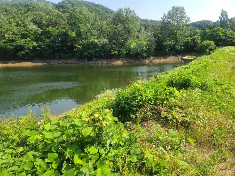 15년만에 탐방 밎 채비 근황 (커뮤니티 - 자유게시판)
