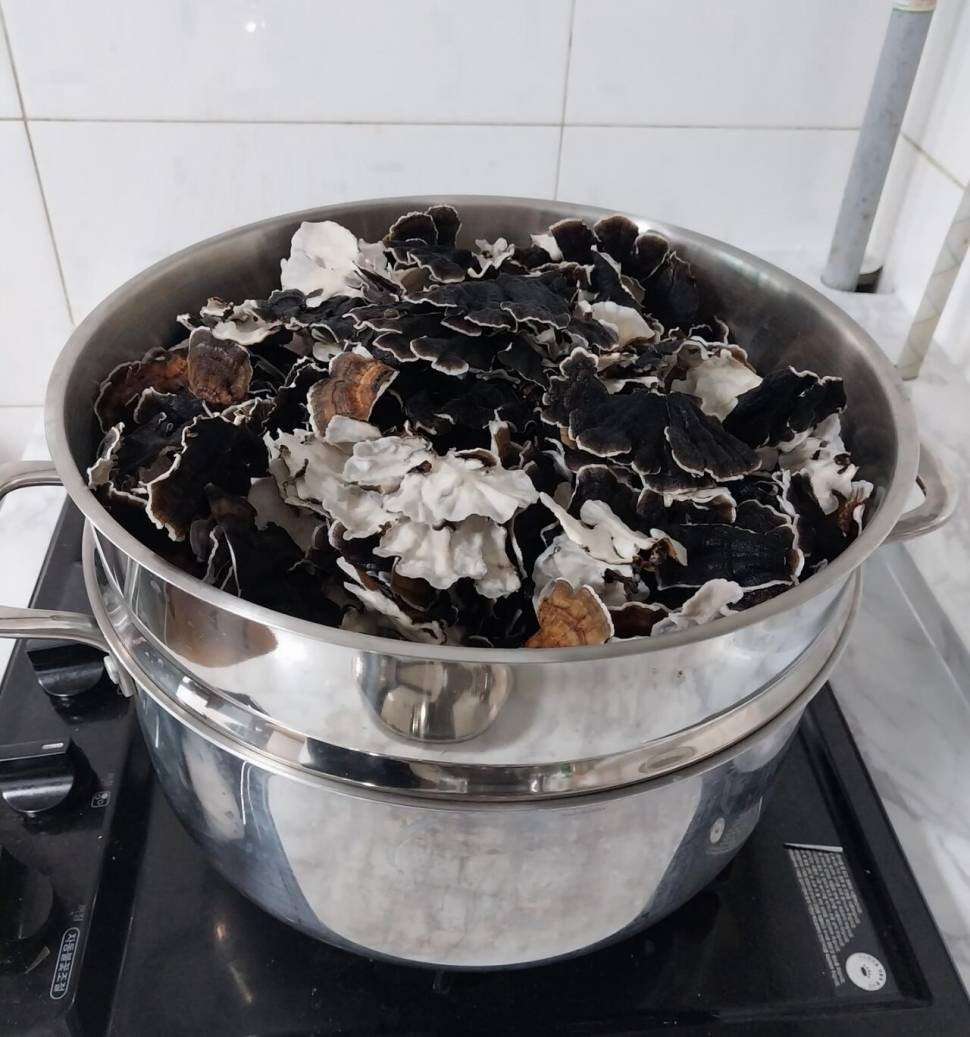 산신령님은 오늘도 내게 (커뮤니티 - 자유게시판)
