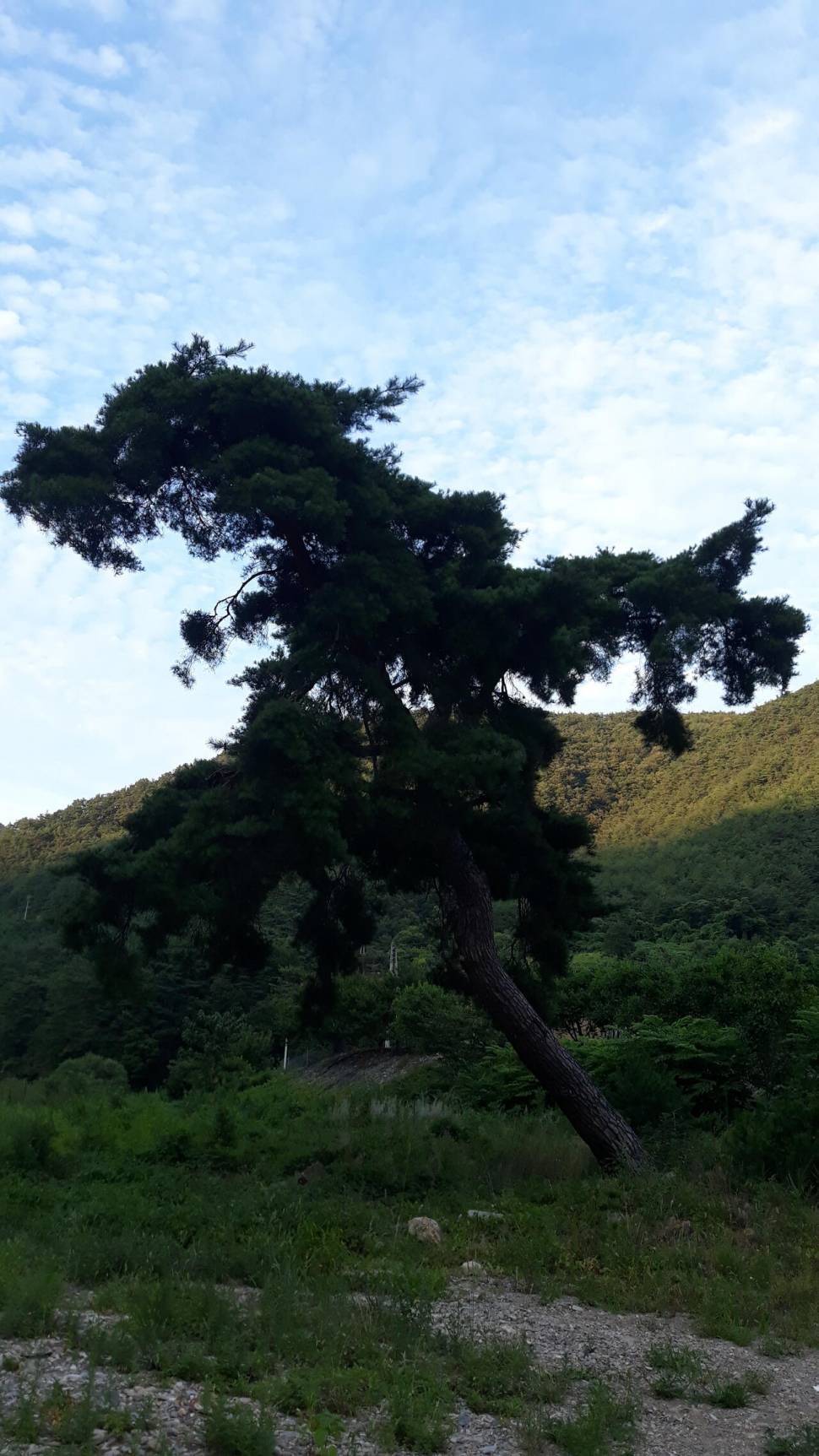 루어낚시 갔다 (커뮤니티 - 자유게시판)