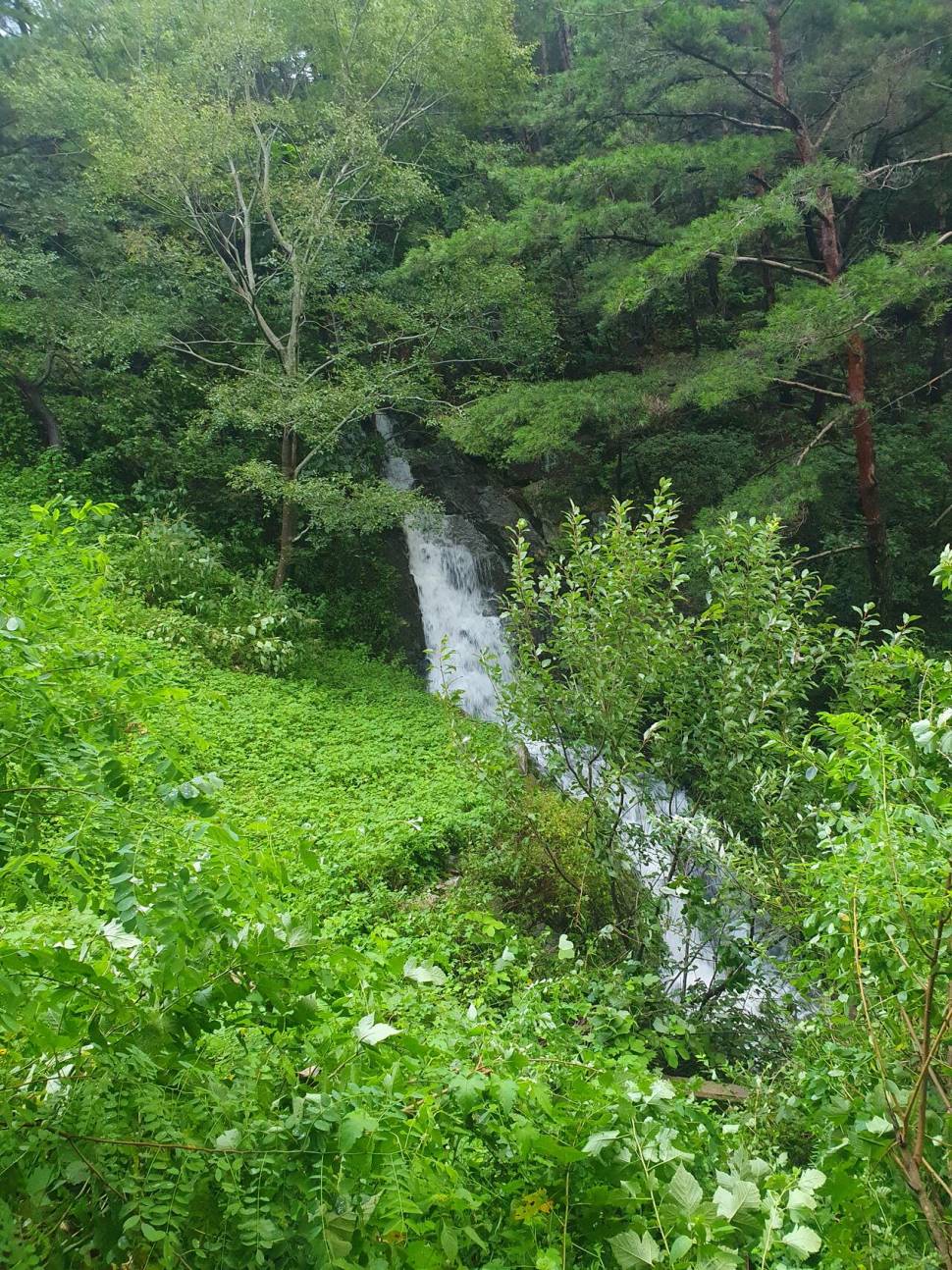 차가 못가는 산속저수지 (커뮤니티 - 자유게시판)