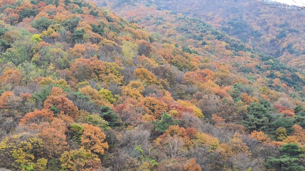 출석합니다 (커뮤니티 - 자유게시판)