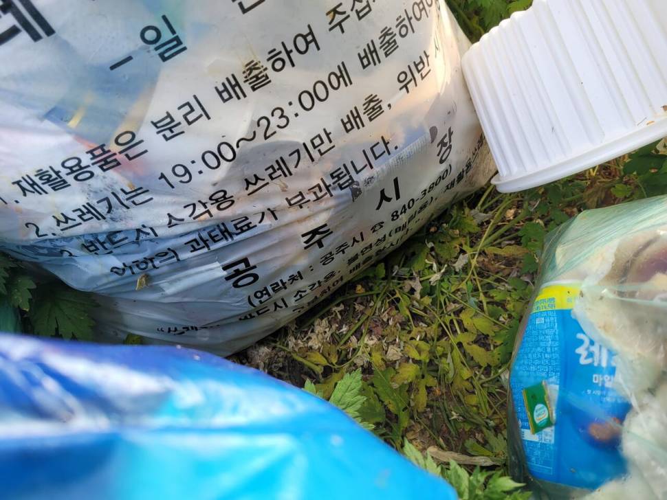 어마어마 하네요 (커뮤니티 - 자유게시판)